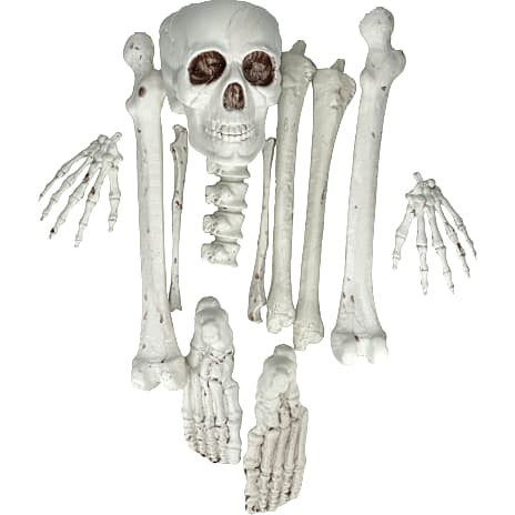 Halloween skeletdele - hvid