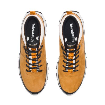 Sneakers homme Winsor Trail TIMBERLAND