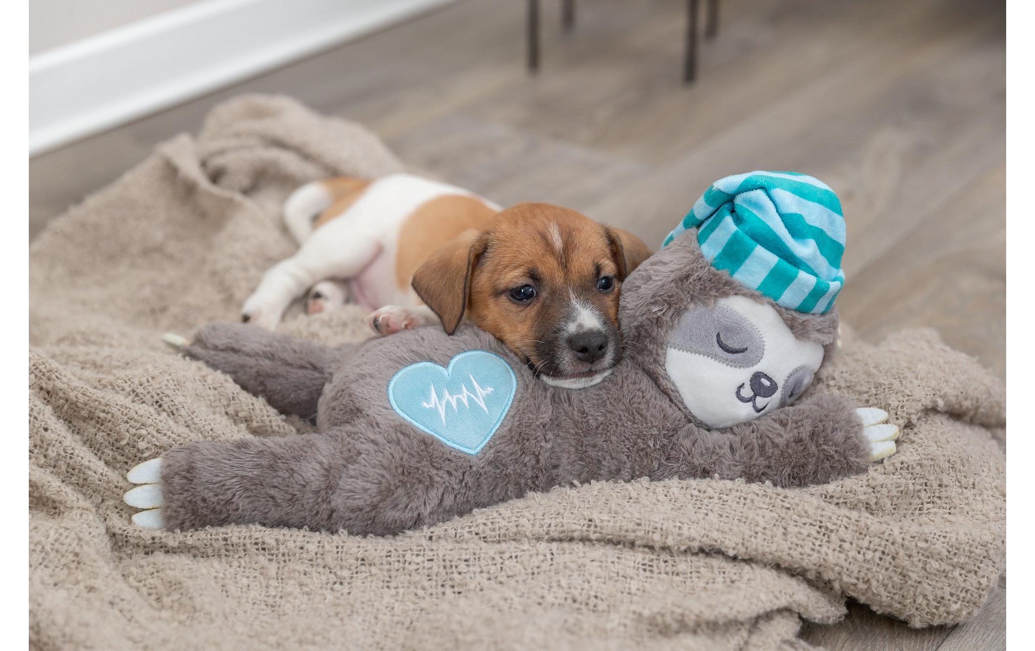 Hunde-Spielzeug Junior Faultier mit Herzschlag, 34 cm, BraunPlüschtier