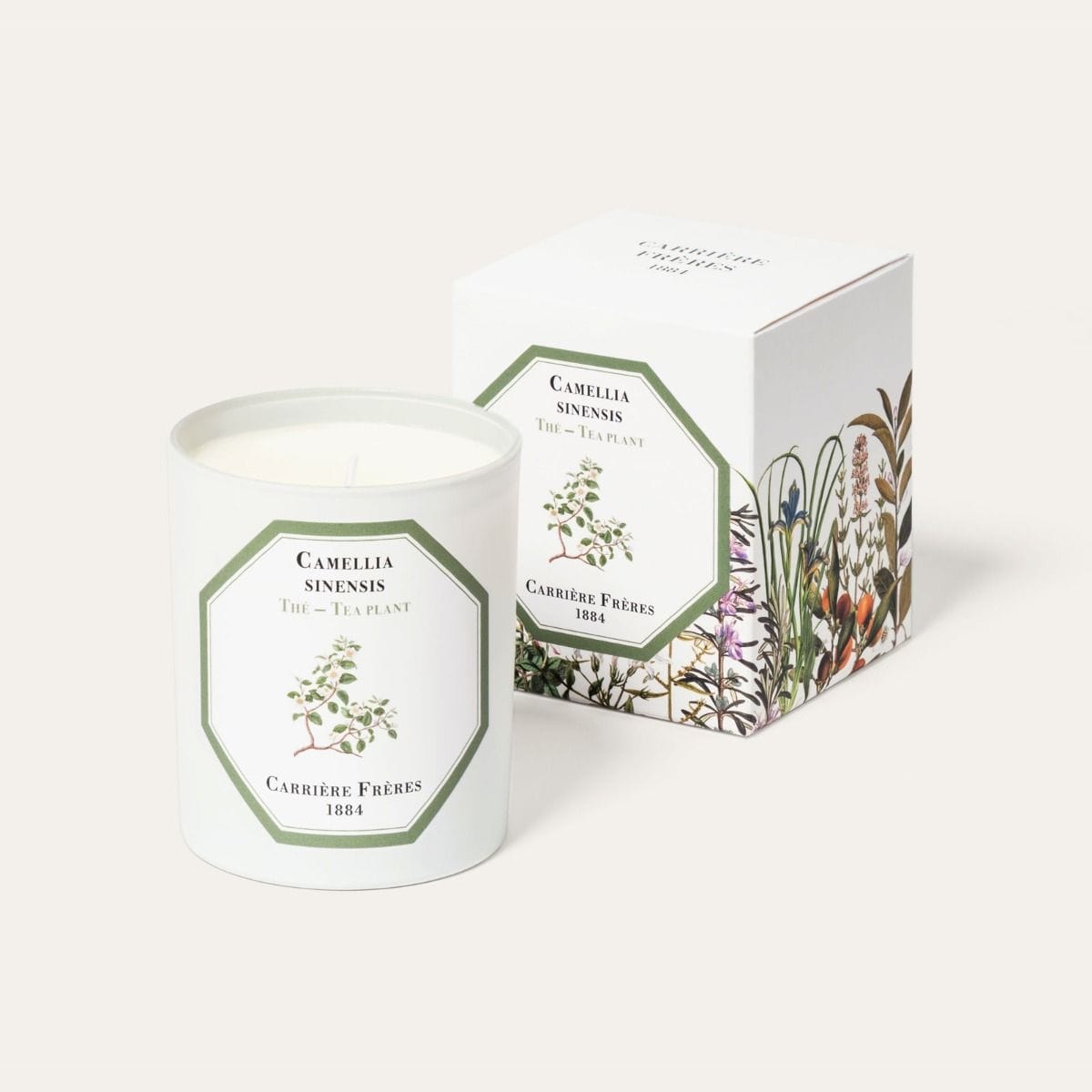 CARRIÈRE FRÈRES Thé - Camelia Sinensis Bougie Parfumée
