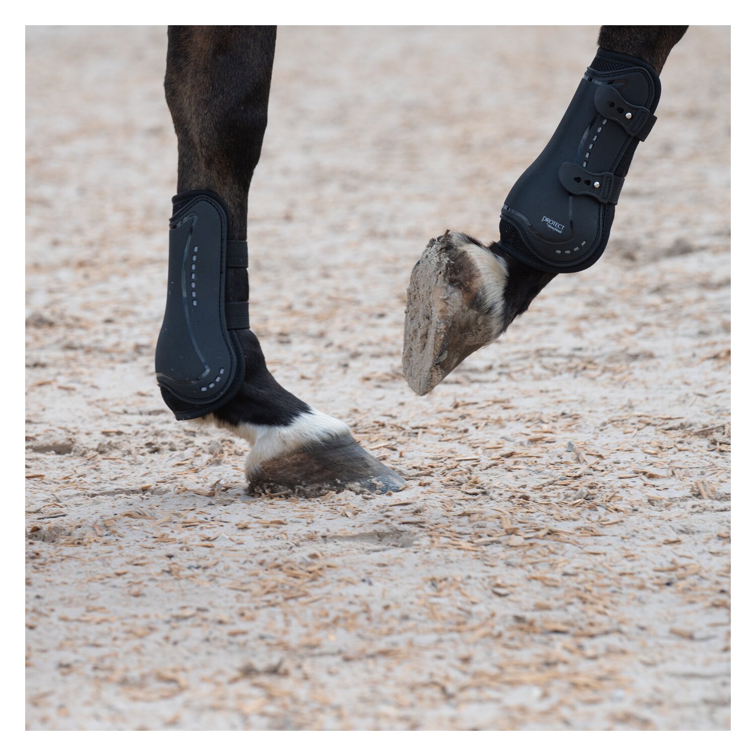 PROTECT by Horse-friends Gamaschen Valencia, für die Vorderbeine  - black
