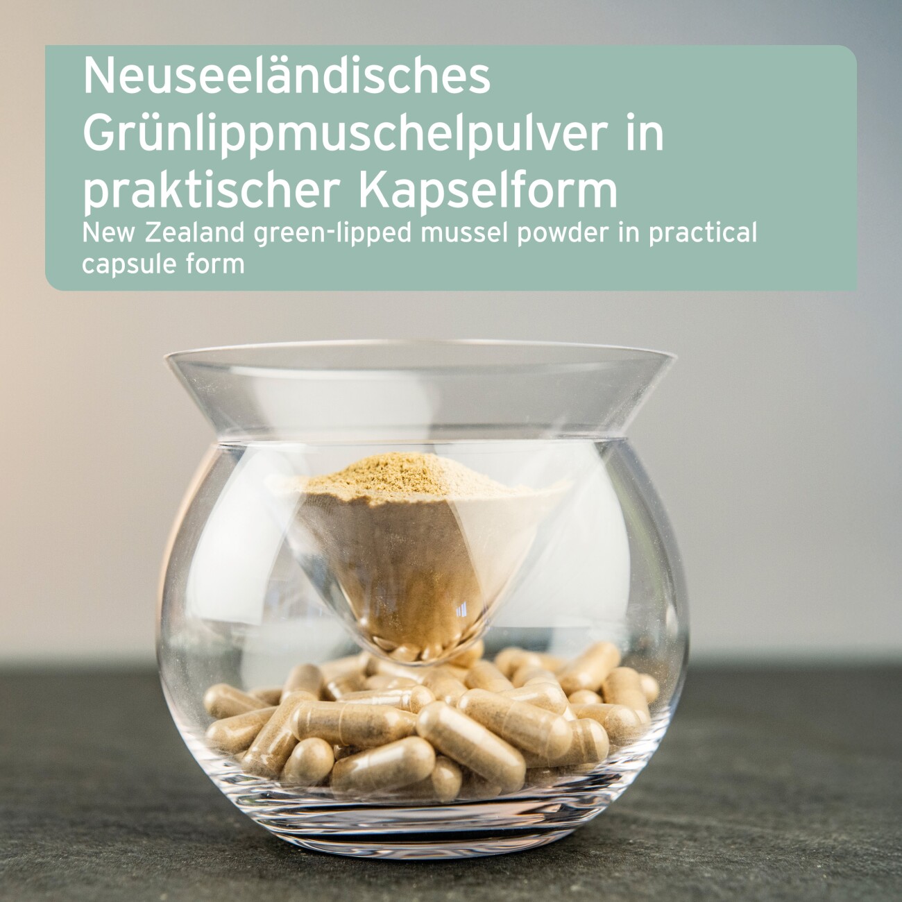 AniForte Grünlippmuschel Kapseln 300 Stk
