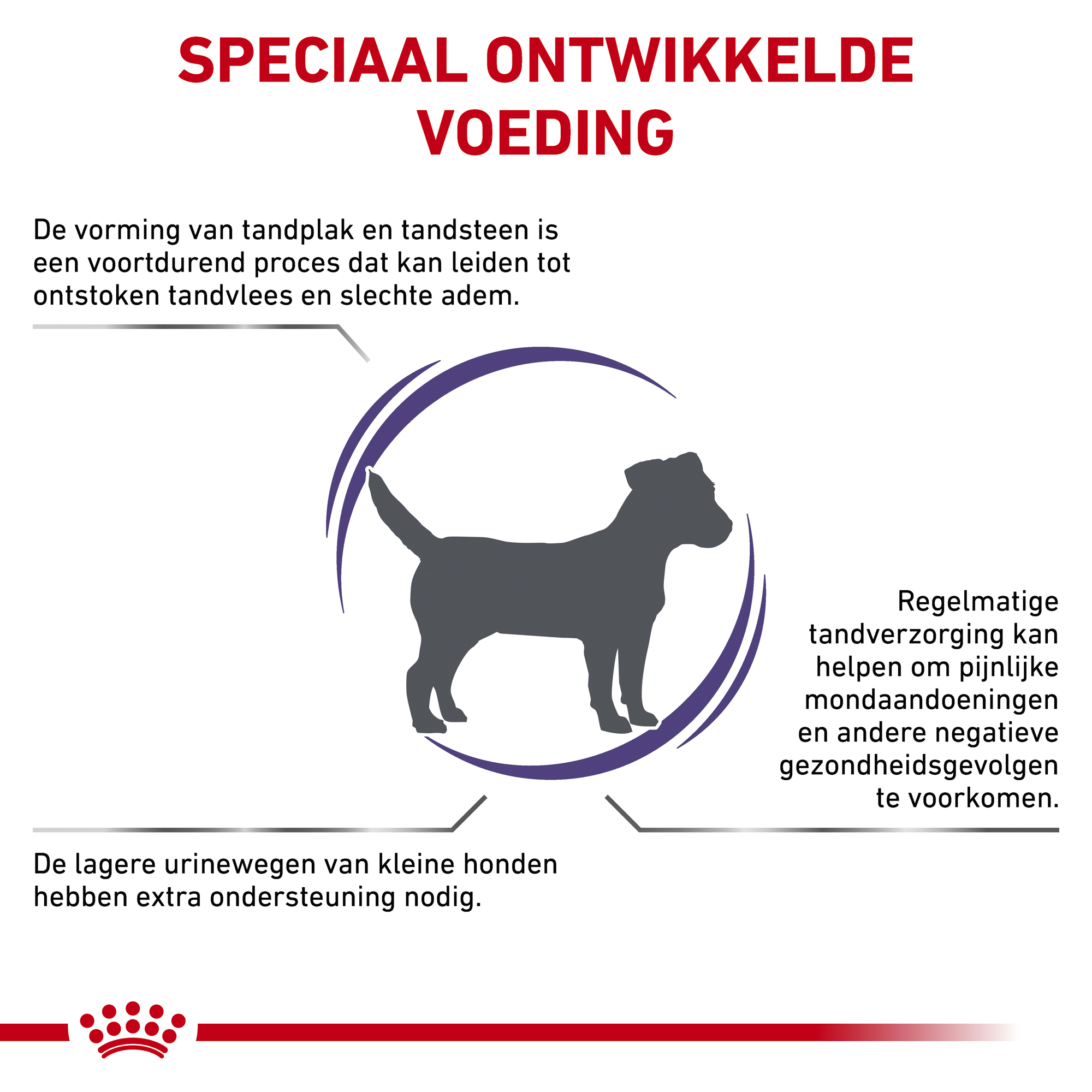 Royal Canin Dental Kleine Hond