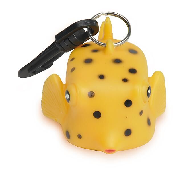 BEST DIVERS - PORTE OCTOPUS POISSON COFFRE