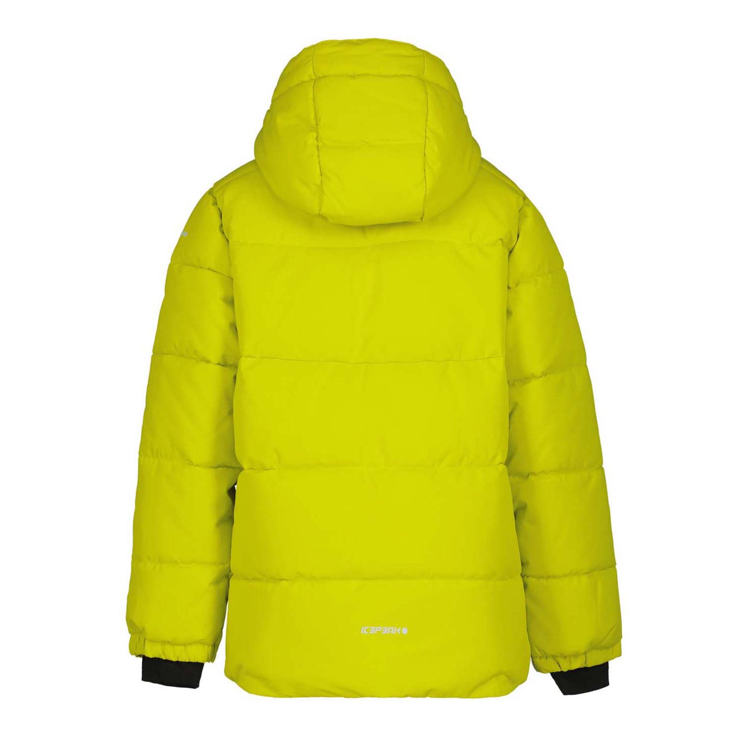 Icepeak  Lounin Jr.