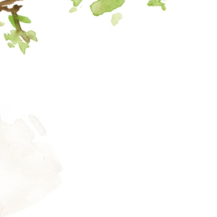 Verjaardag | Michelle Dujardin | Illustratie