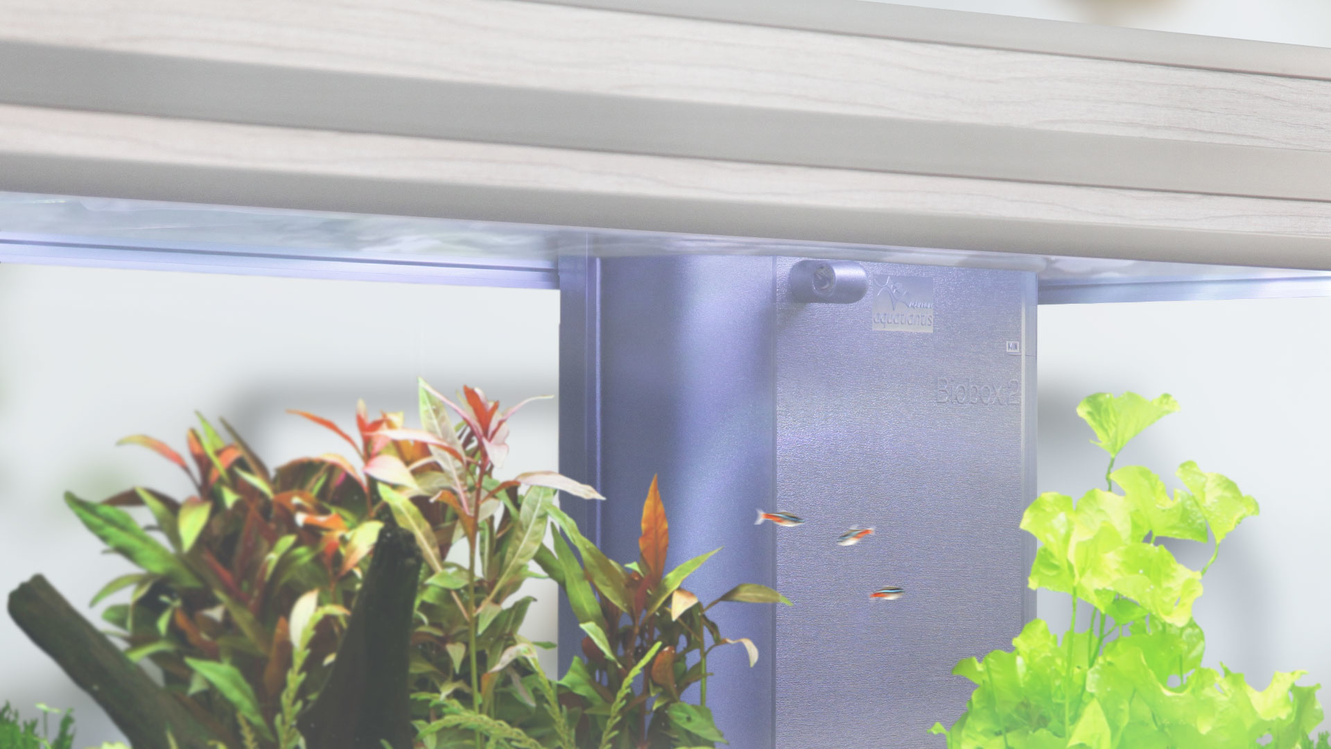 Aquatlantis Binnenfilter Systeem BioBox Nr. 2 | Compacte filter