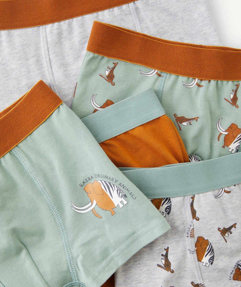 LOT DE 5 BOXERS GARÇON EN COTON BIO GRIS ET VERT AVEC ANIMAUX