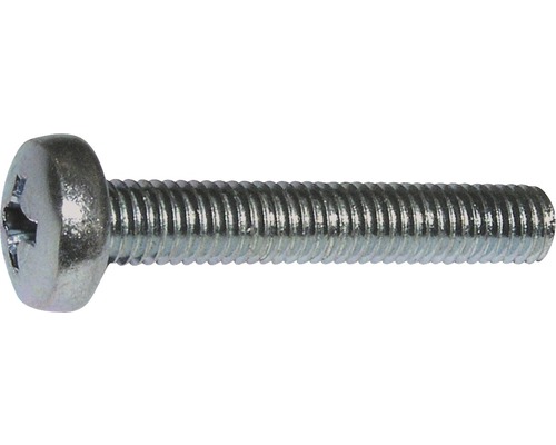 Pankopschroef 4,8 mm, kruiskop, DIN 7985 M3x6 mm, verzinkt, 100 stuks