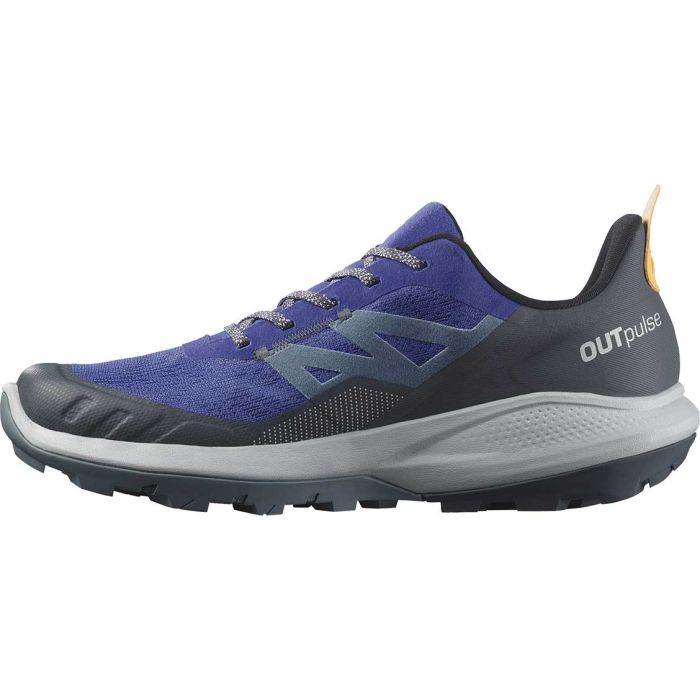 Outpulse GTX Men herresko