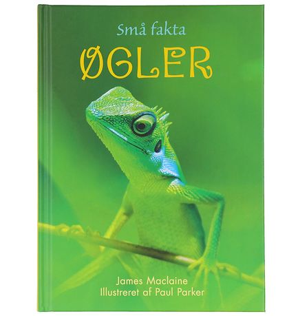 Gads Forlag Bog - Sm? fakta - ?gler - Dansk