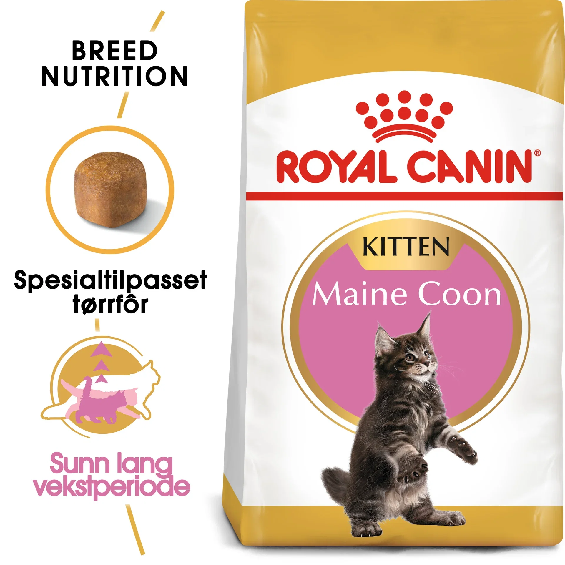 Royal Canin Royal Canin Maine coon Kitten 2 kg