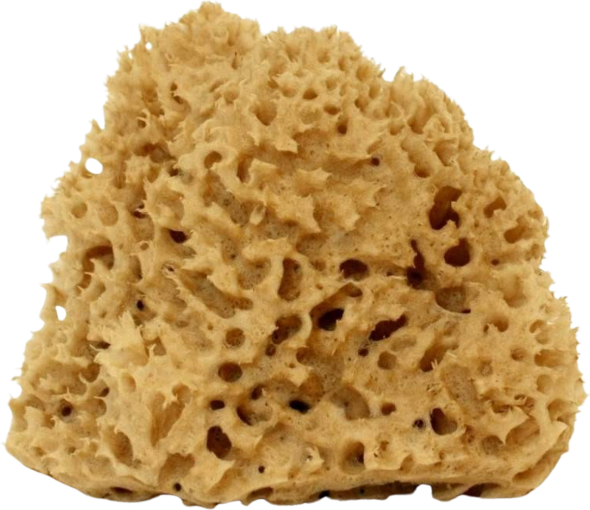Cose della Natura  Honeycomb-Naturschwamm, Groß, 12-14 g