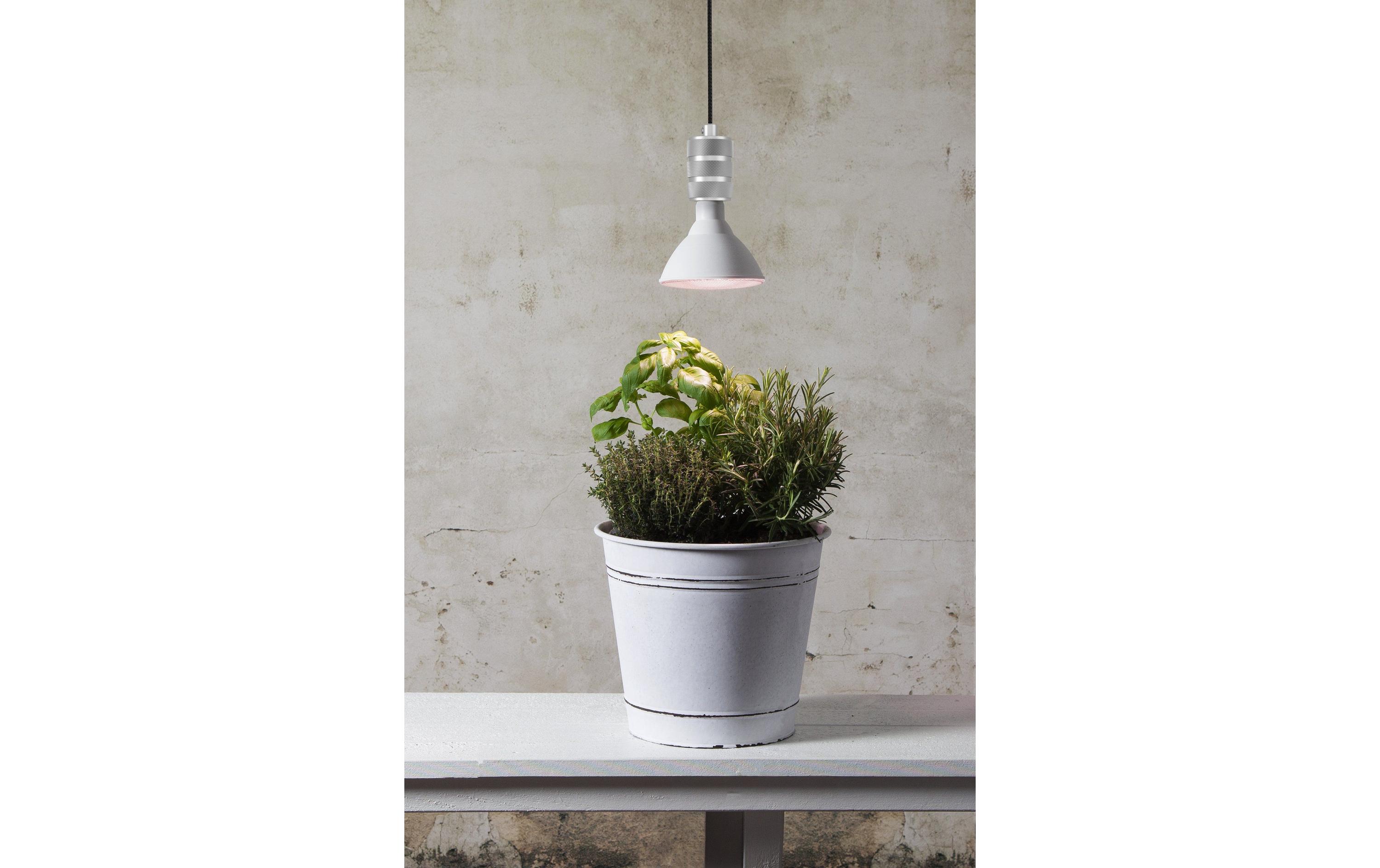 Lampe 16 W E27 WarmweissPflanzen-Leuchte