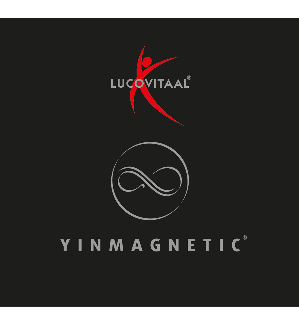 Lucovitaal Magneet Armband Zilver (1 stuk)