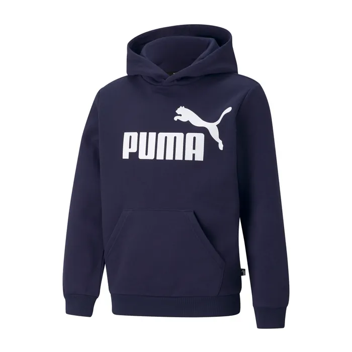 Puma Essential Hoodie Junior