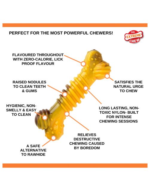 Nylabone Extreme Chew Textured Bone Beef & Cheese Kaas&Rund - Hondenspeelgoed