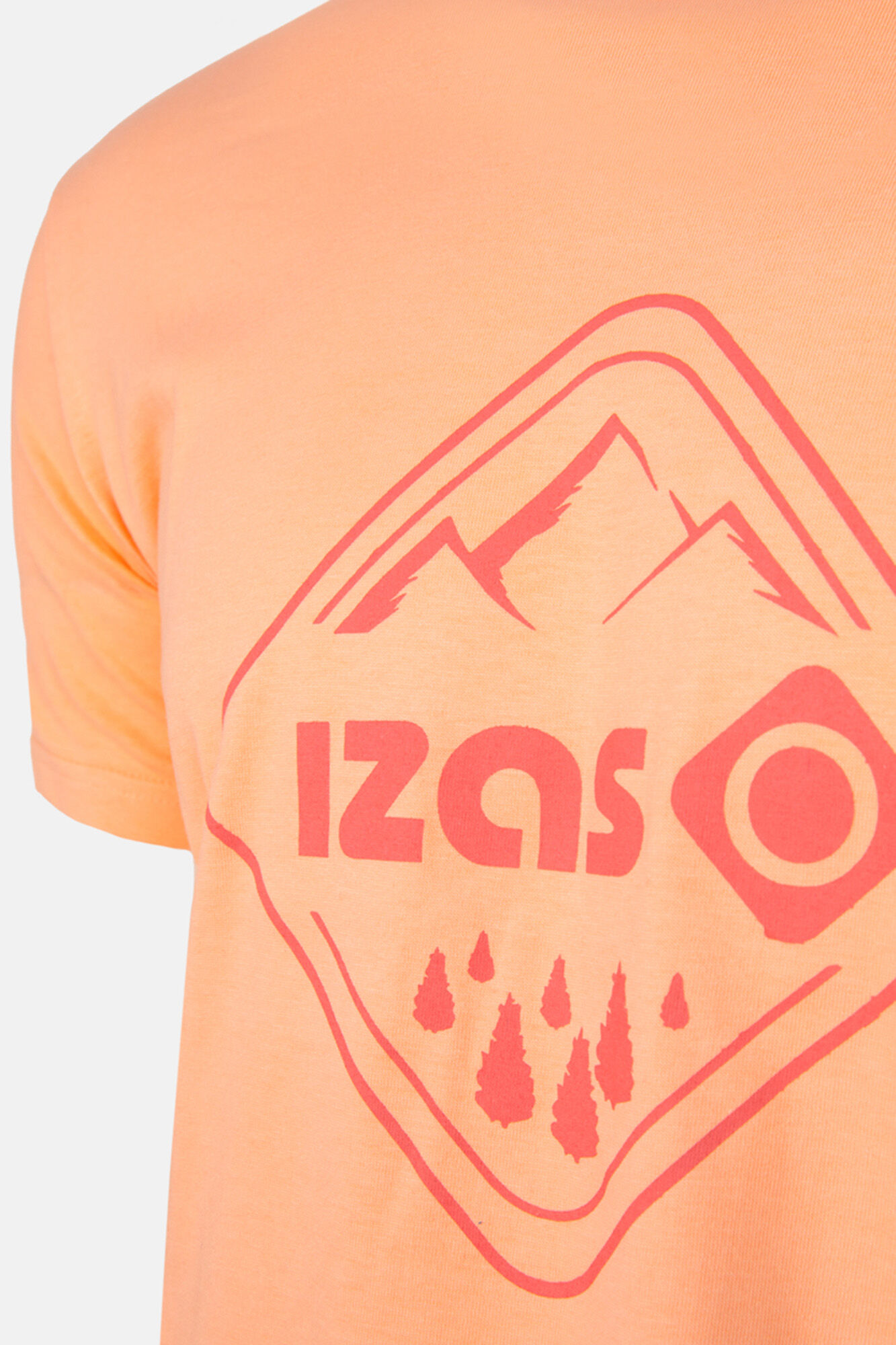 Camiseta de manga curta Daun