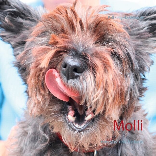 Molli - Palle Hyldenbrandt - Bog