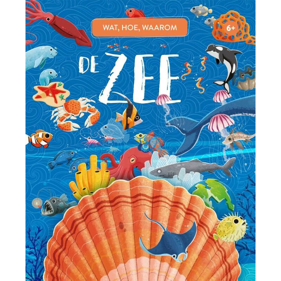 Uitgeverij rebo wat, hoe, waarom de zee