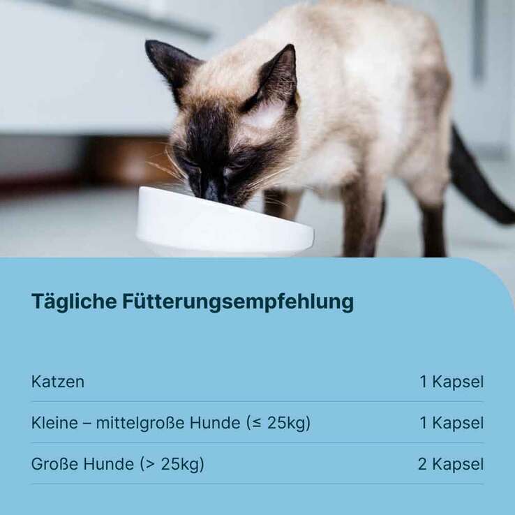 Gasteel Diät-Ergänzungsfuttermittel Kapseln für Hunde / Katzen, 50 St