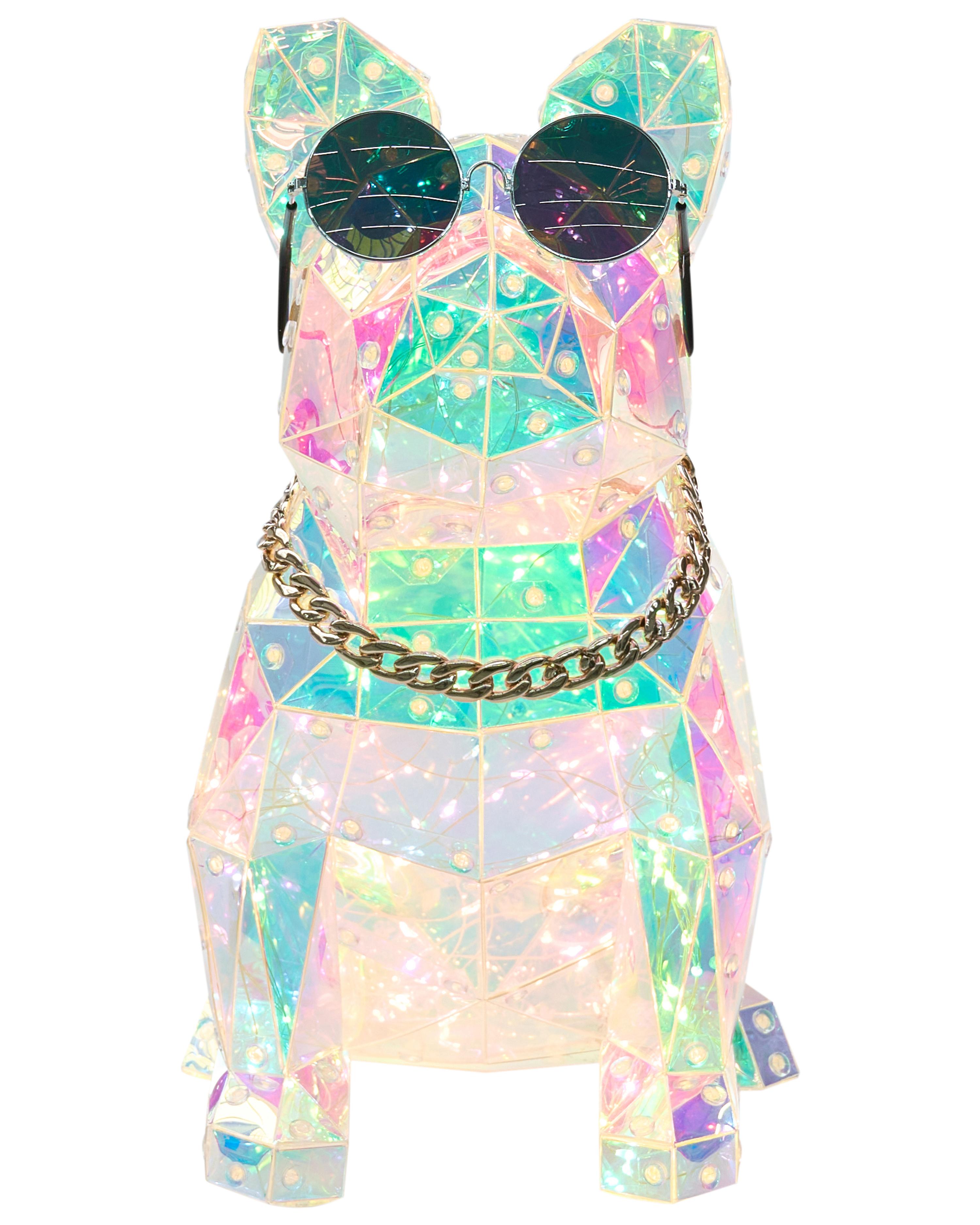 LED decoratie Hond JONKU Meerkleurig