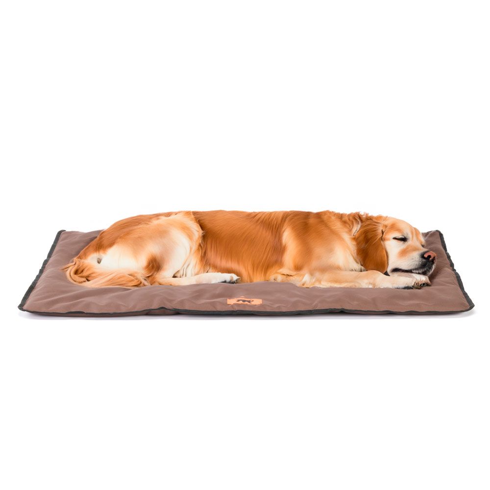 Ferplast panier pour chien chat - lit chien grand lavable - matelas chien - coussin chien chat - imperméable & anti-rayures -