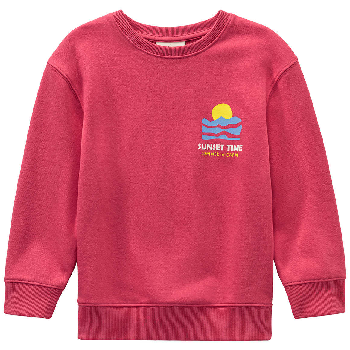 Jonas Nielsen Jungen Sweatshirt mit Backprint pink