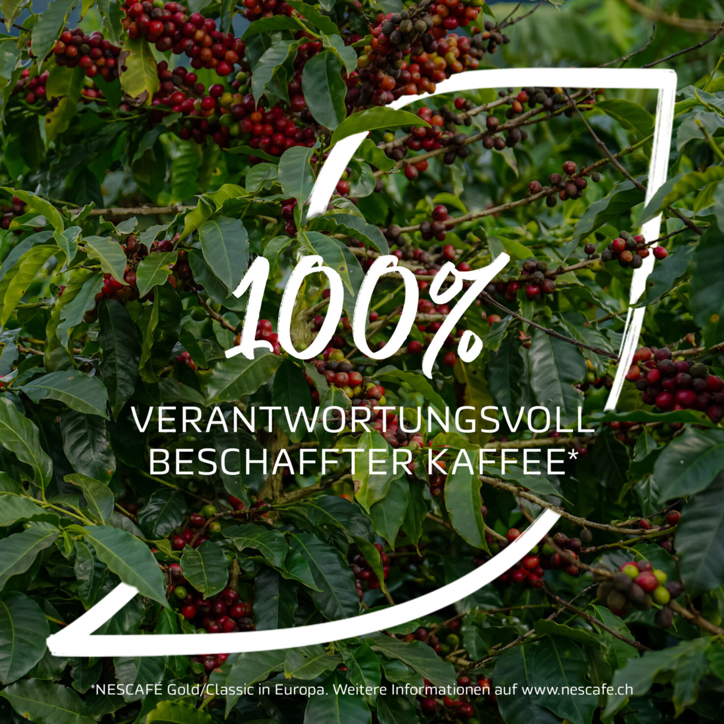 Nescafé Gold De Luxe löslicher Kaffee Glas