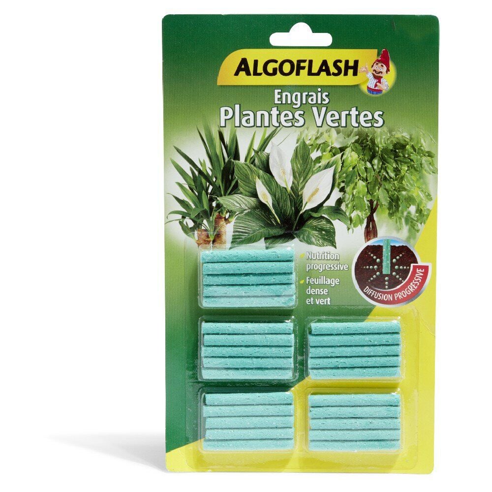 Bâtonnet engrais x25 plante verte