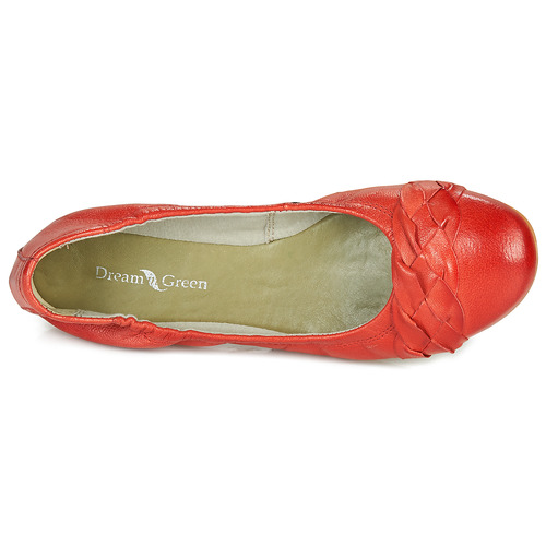 Dream in Green - NERLINGO Rojo