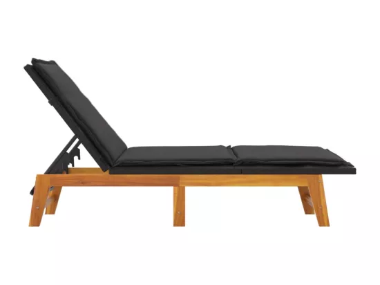 Chaises longues et coussins lot de 2 Résine tressée et acacia