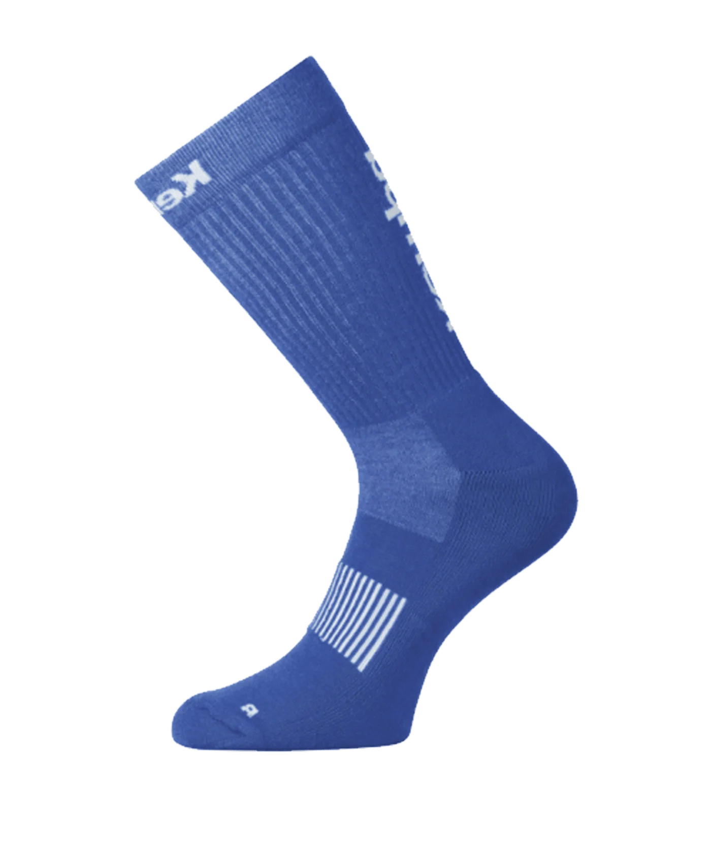 Kempa Logo Classic Socken Blau Weiss F22