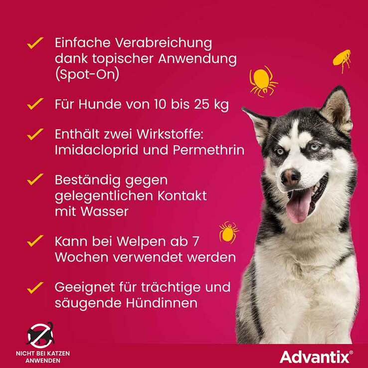 Advantix Spot-on Hund 10 - 25 kg Lösung, 4 St
