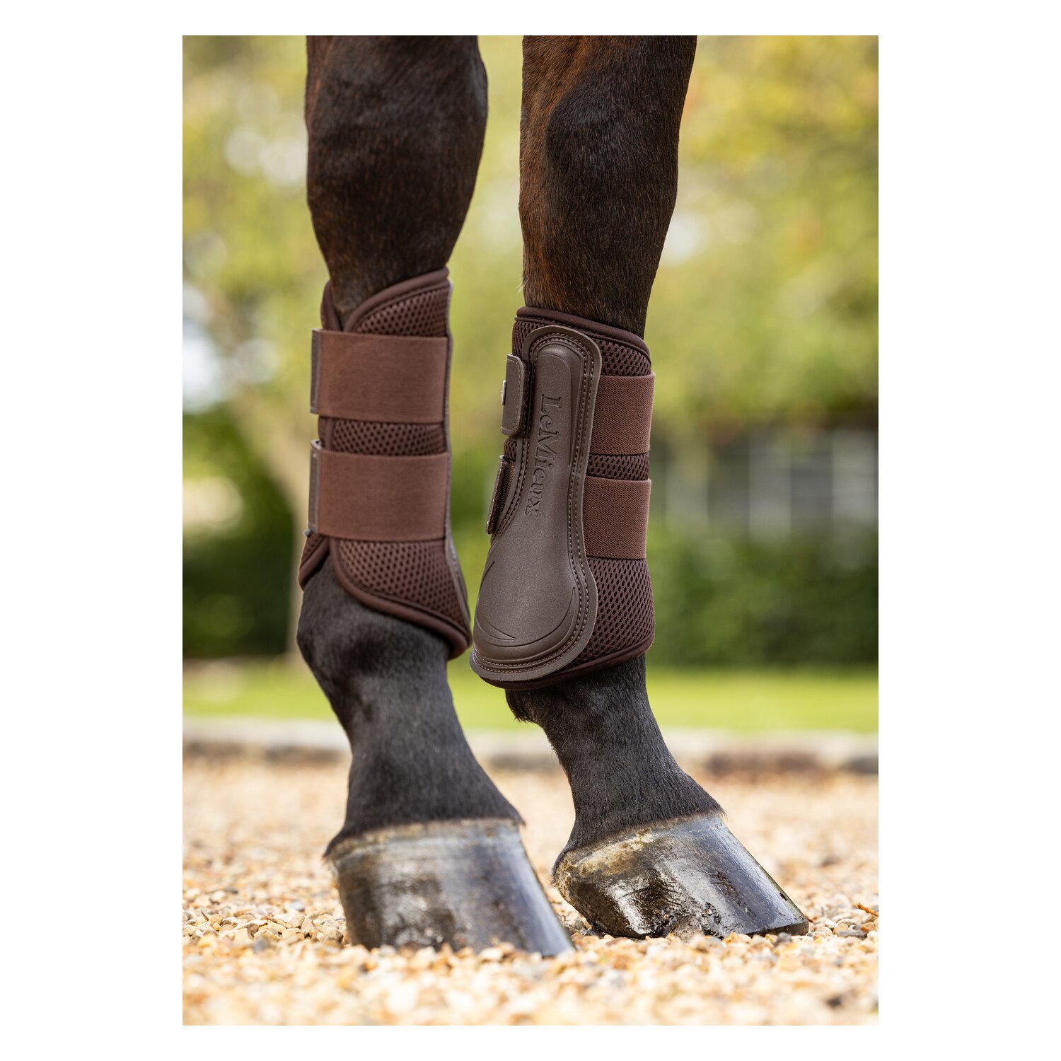 LeMieux Core Gamaschen Mesh, für Vorder- und Hinterbeine - brown