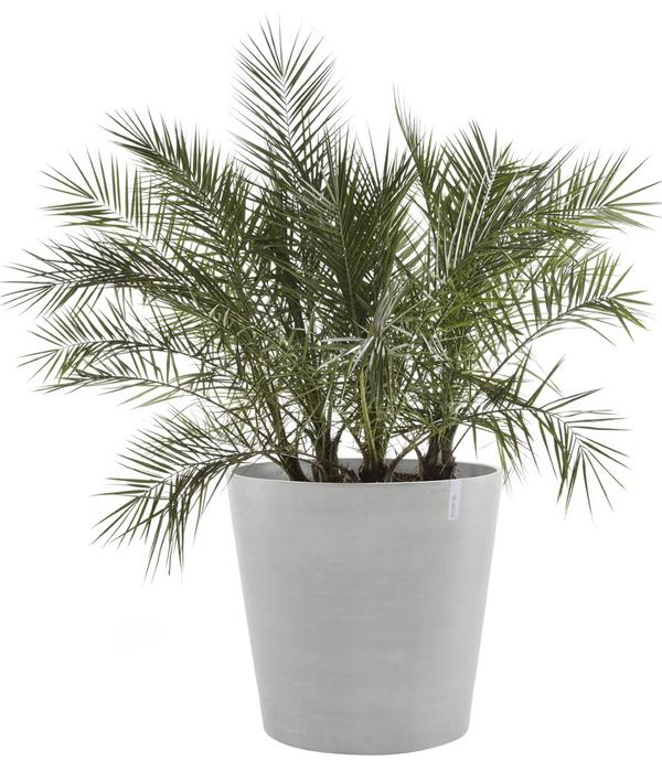 Ecopots Kunststoff-Topf Amsterdam mit Rollen,