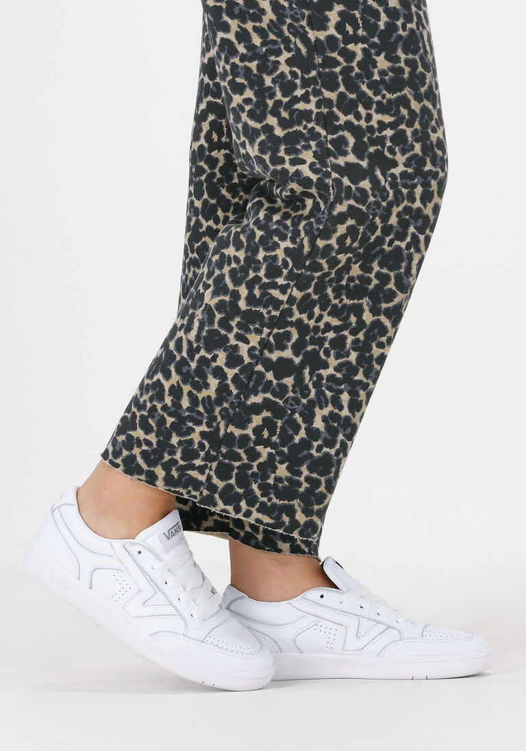 VANS witte vans lage sneakers ua lowland cc dames