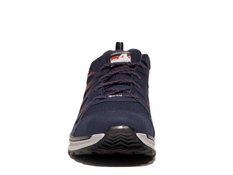 Vierdaagse Lowa Innox Evo N4D GTX L 63