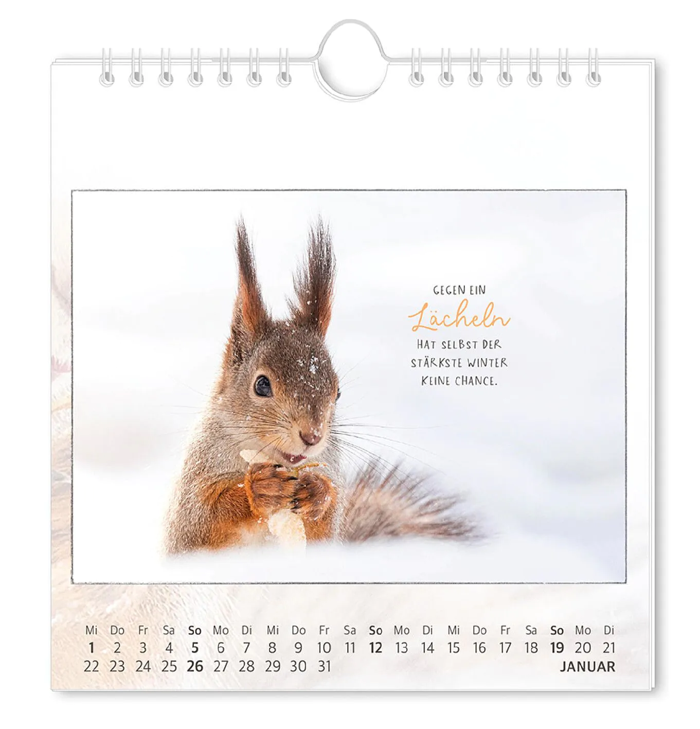 Postkarten Kalender, 2025,Traumtage