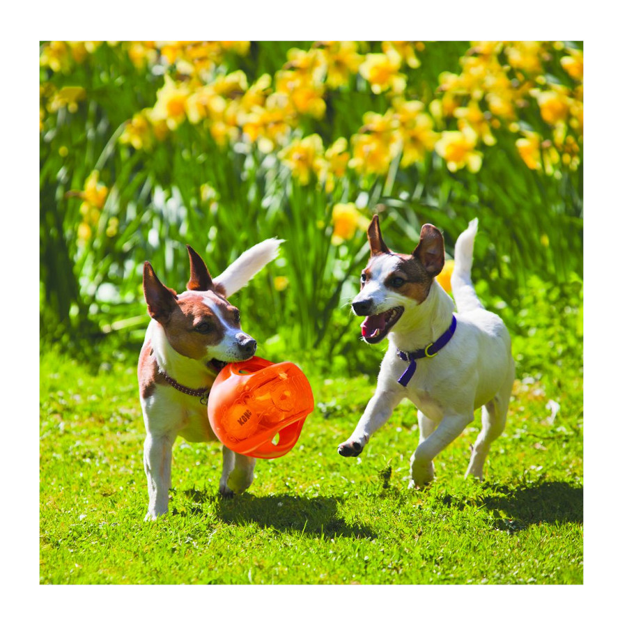 Bola Kong Jumbler em cores sortidas para cães