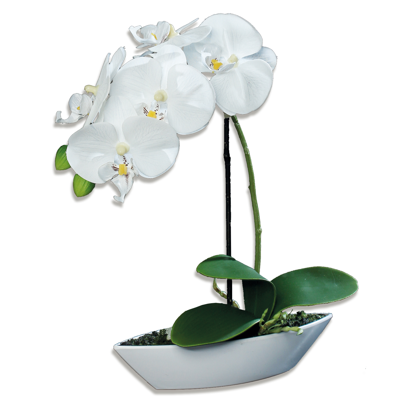 Orchidee-Phalaenopis - creme - Kunstpflanze