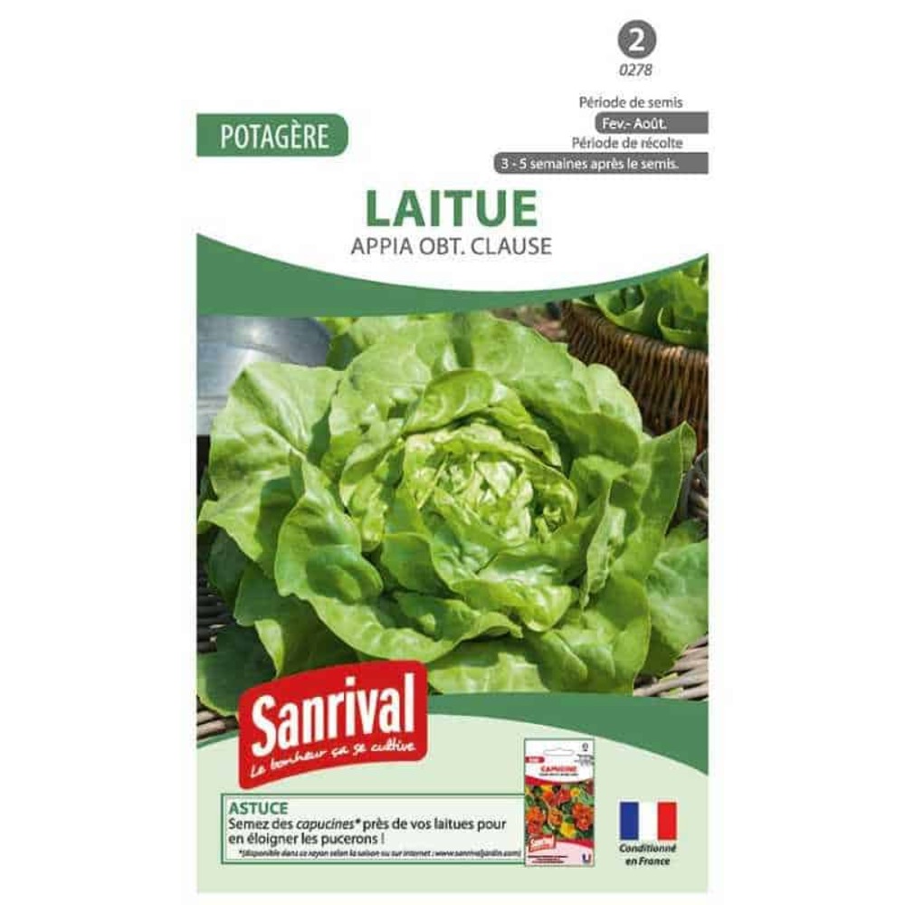 Graines laitue 3 saisons