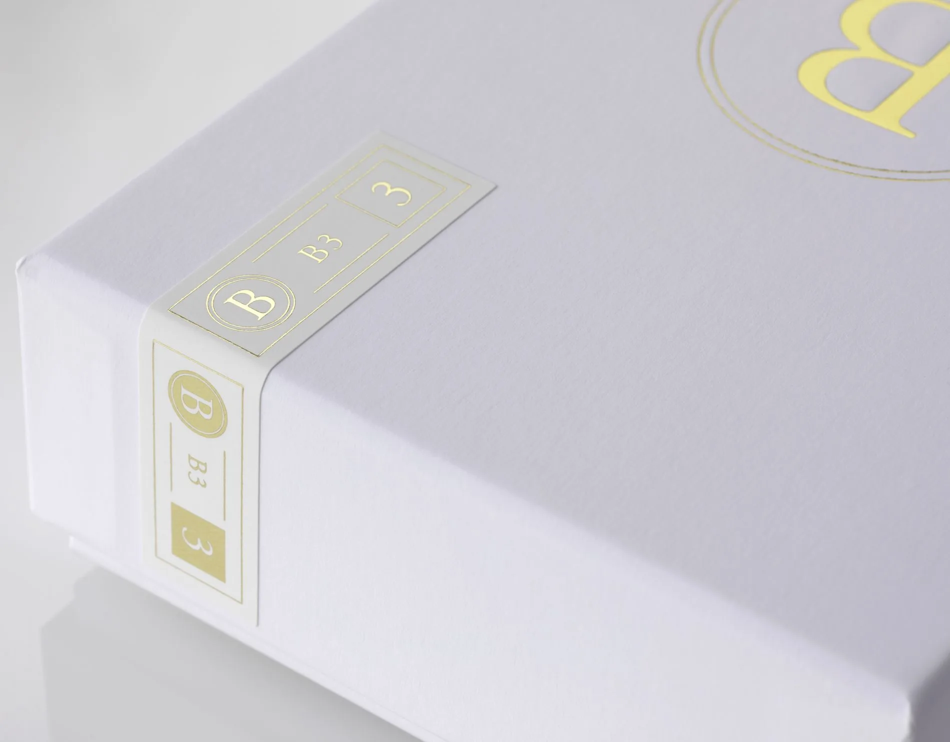 Final Audio B3 Écouteurs intra-auriculaires