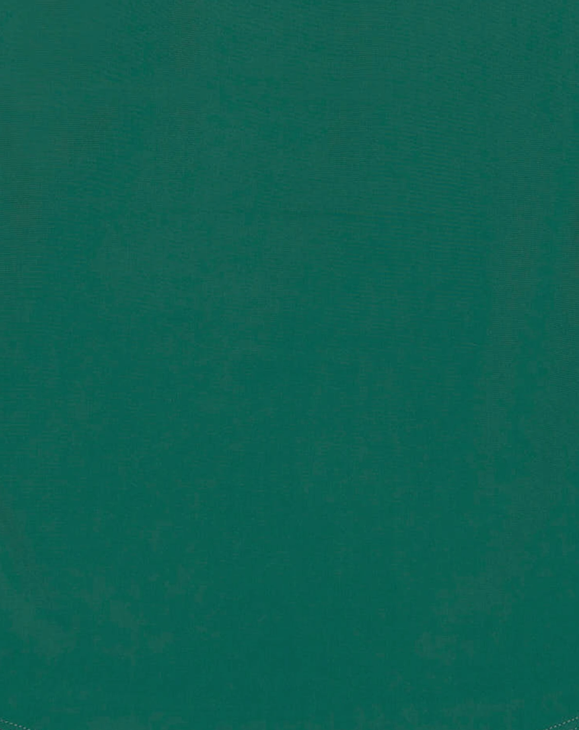 Langarm-Badeshirt PALMS in green