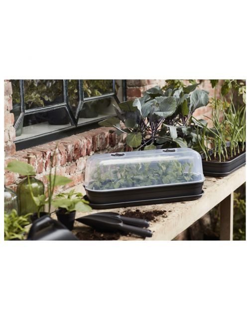 Elho Green Basics Kweekhuis - Kweekbenodigdheden - 51.19.5x12.7 cm Transparant L