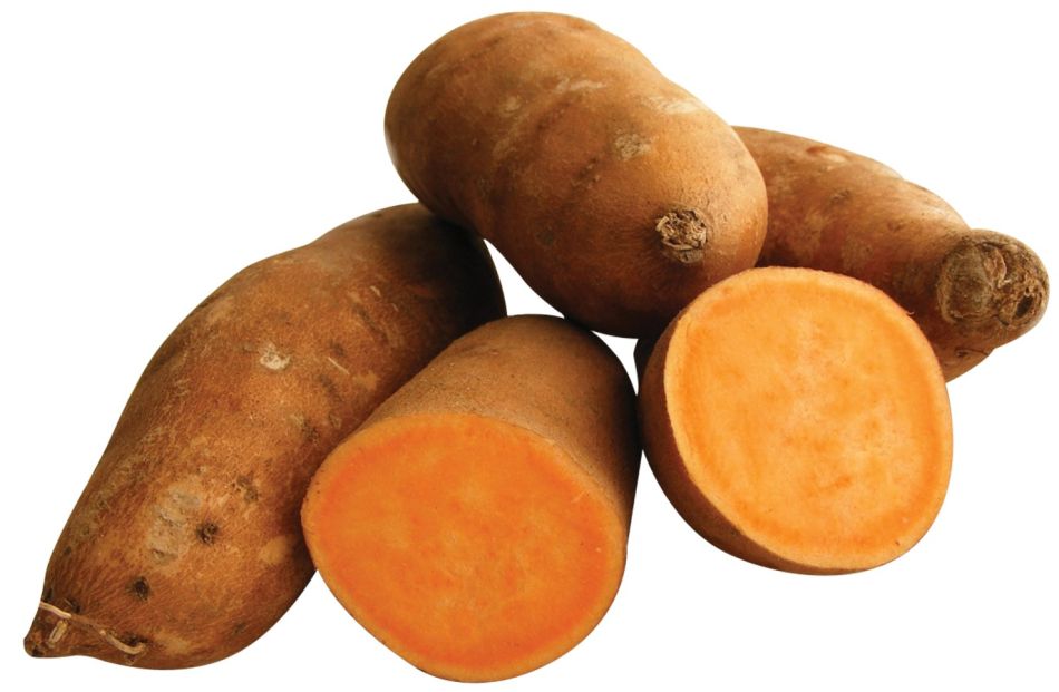 Dag Vers Zoete Aardappel 1kg