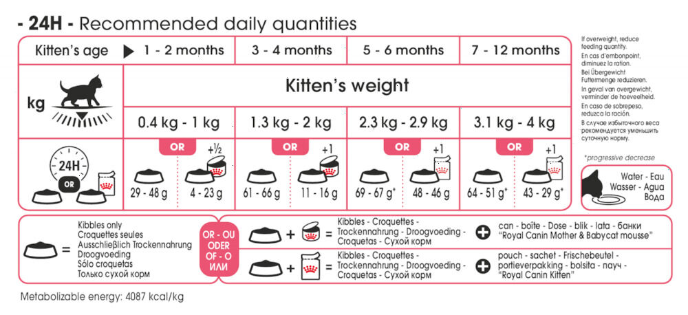 Royal Canin Kitten - Kattenvoer - 2 Kilogram - Gevogelte