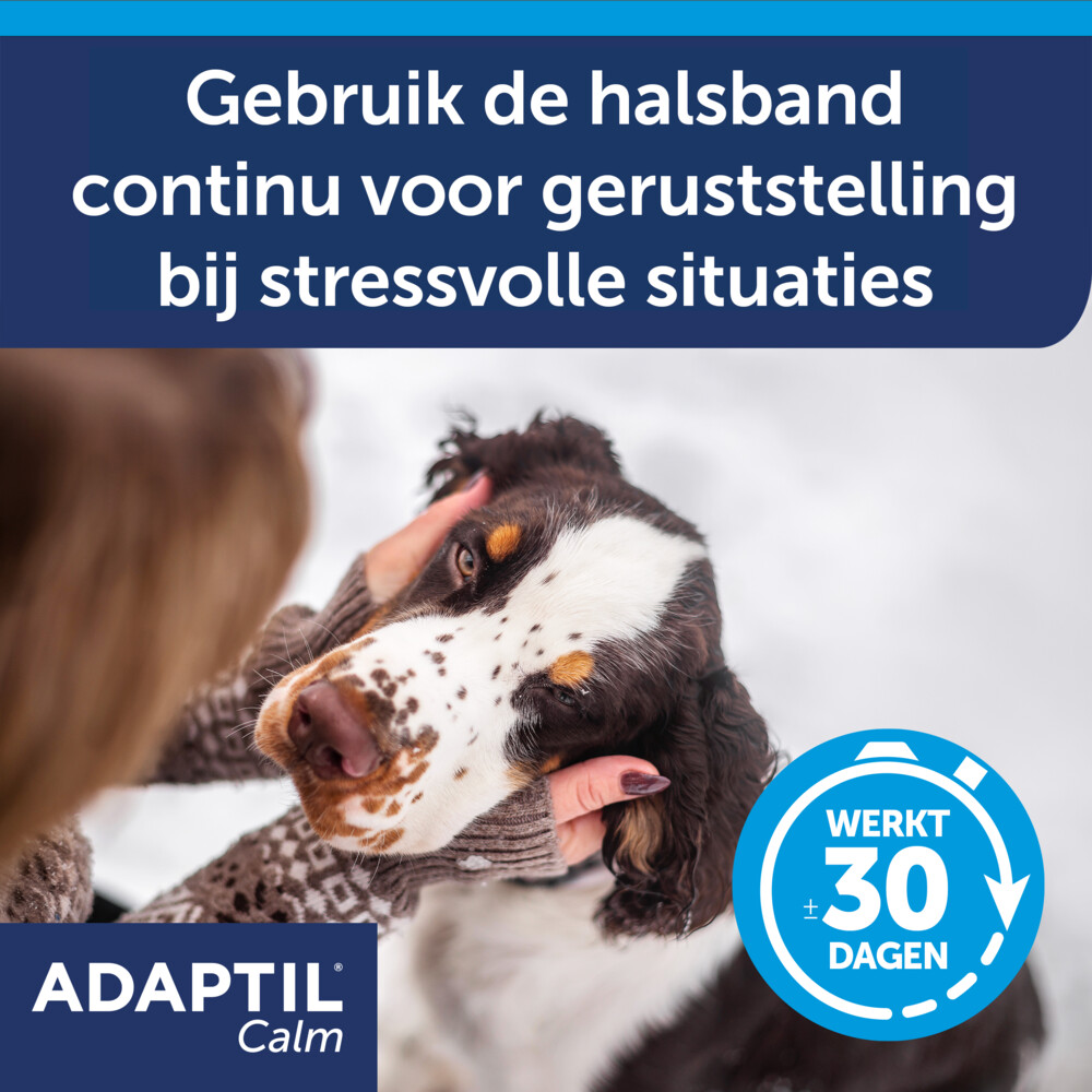 Adaptil Calm Anti-Stress Halsband M - L70 cm