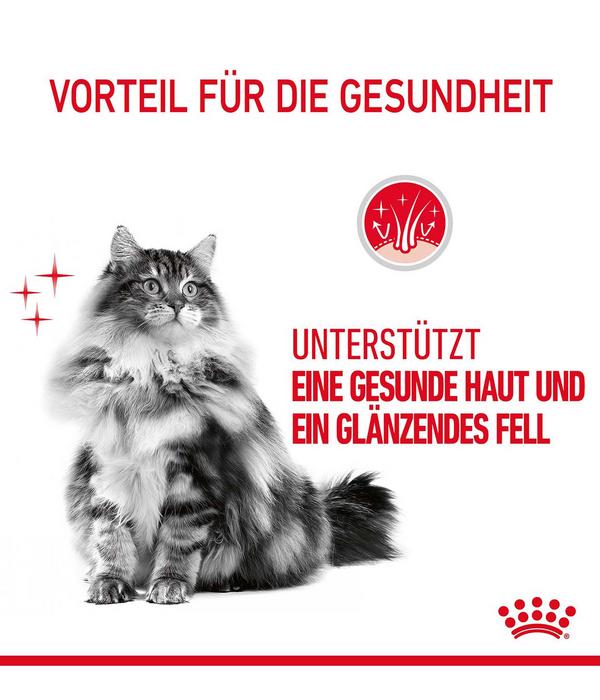 ROYAL CANIN® Trockenfutter für Katzen Hair &