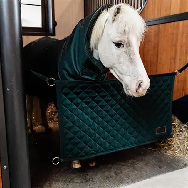 Boxrooster Kentucky Donkergroen